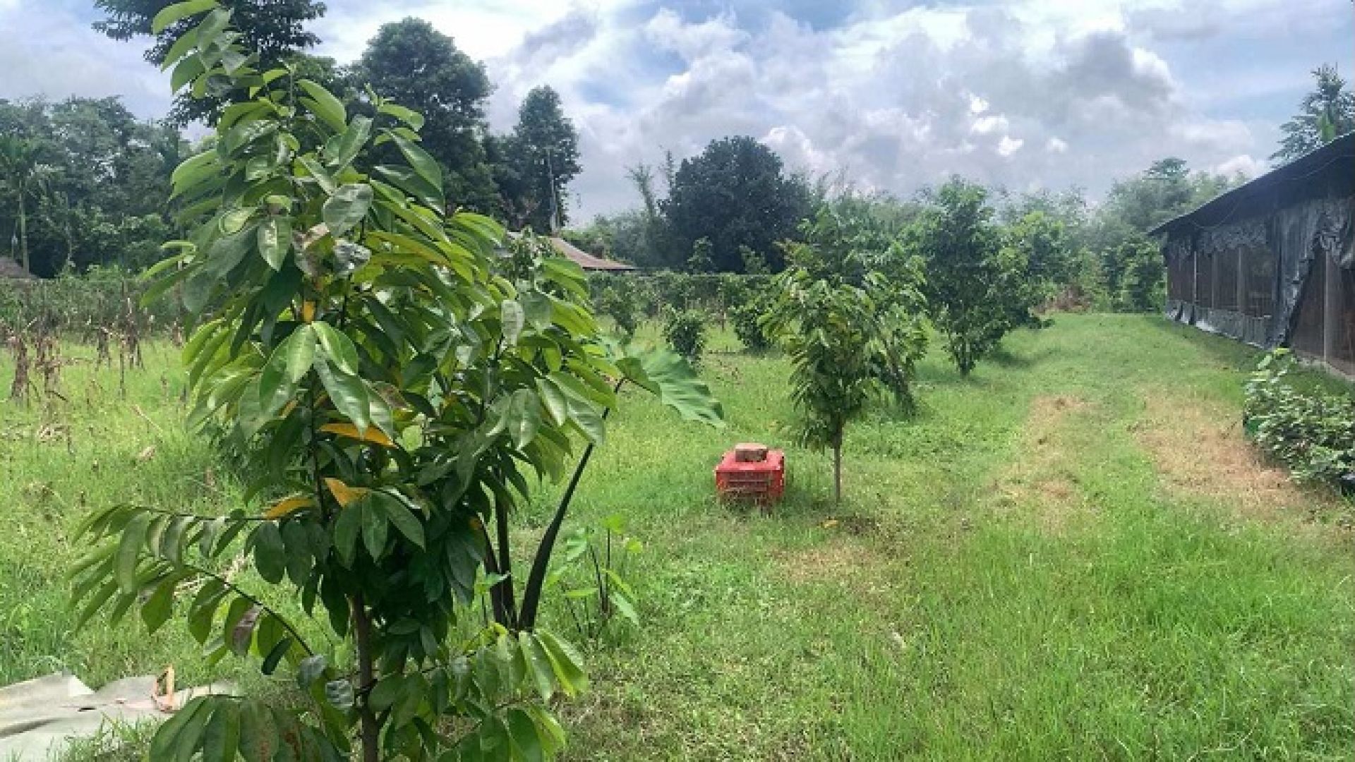 रेल्वेको ट्र्याक र बैंकले ऋण लिने प्रक्रिया बन्द गरेपछि सावरसुपखेती अन्योलमा